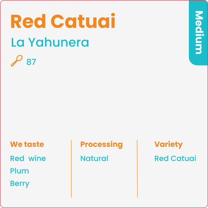 Catuaí Rojo